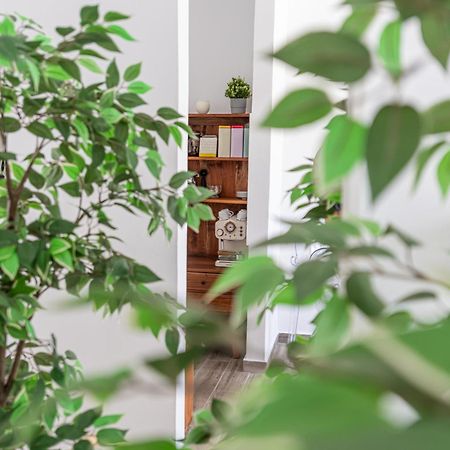Fuerte Hygge Apartment ตาราฮาเลโฮ ภายนอก รูปภาพ