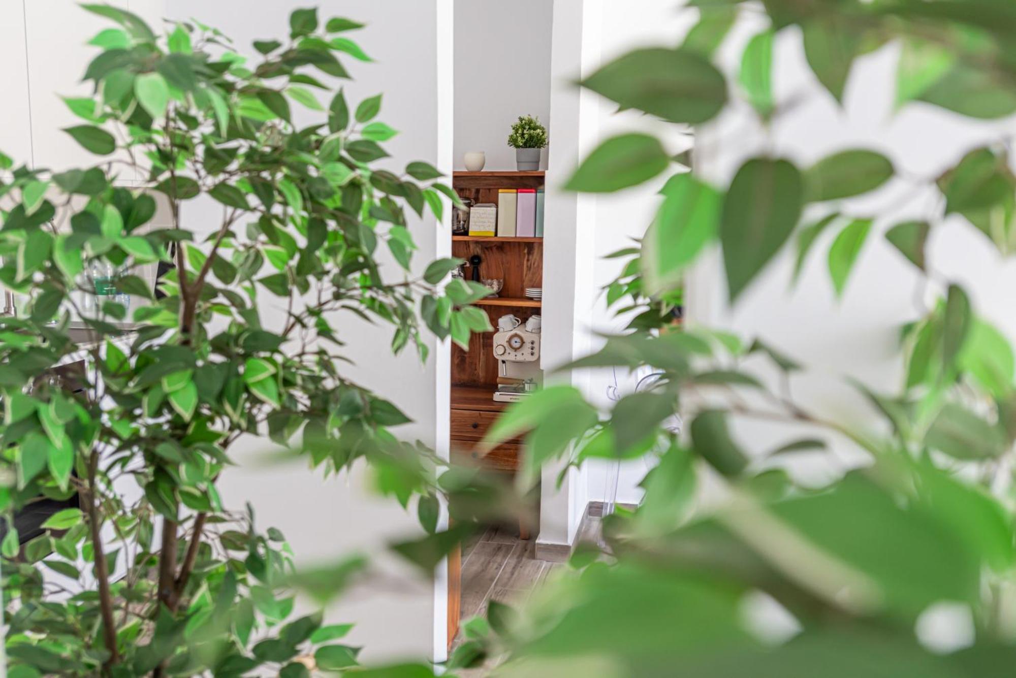 Fuerte Hygge Apartment ตาราฮาเลโฮ ภายนอก รูปภาพ